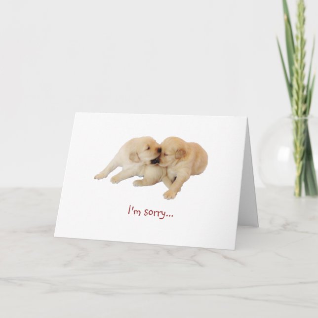 Cartão "I'm sorry" Puppy Love 1 (Frente)