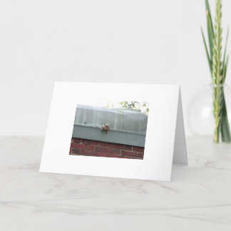 Cartão i'm watching you