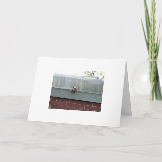 Cartão i'm watching you (Frente)