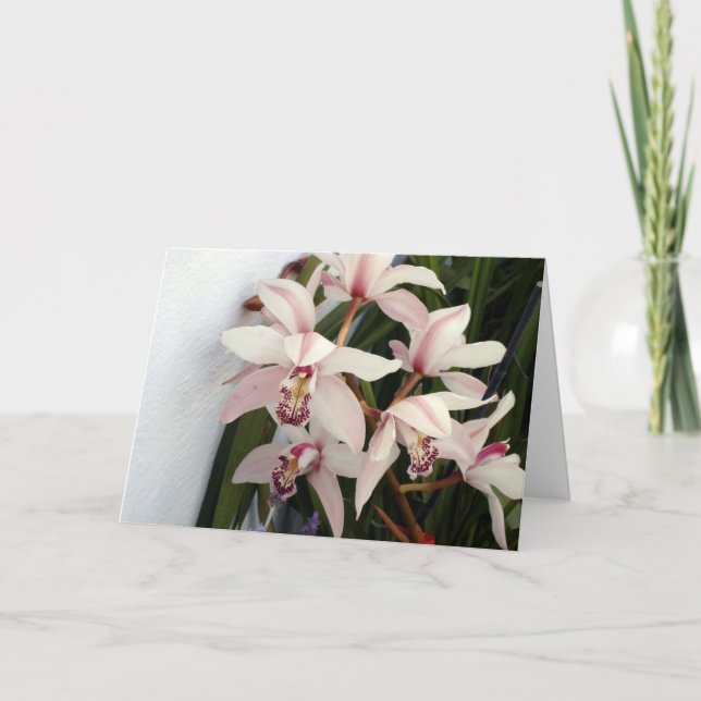 Cartão Imagem 003 (Frente)