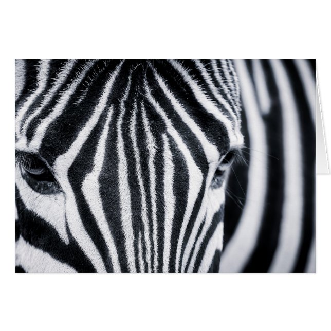 Cartão Imagem aproximada de Zebra (Frente Horizontal)