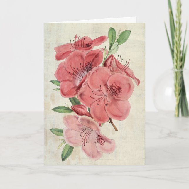 Cartão Imagem Botânica Vintage Azalea (Frente)