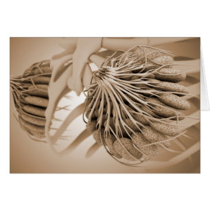 Cartão Imagem Conceitual Da Anatomia Da Mama Das Mulheres