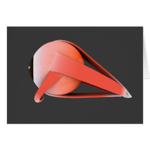 Cartão Imagem Conceitual Da Anatomia Ocular Humana 7