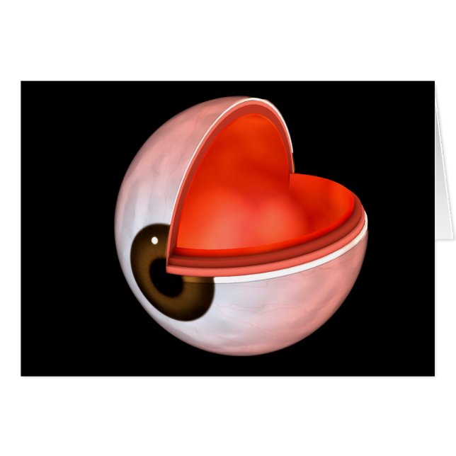 Cartão Imagem Conceitual Da Anatomia Ocular Humana 8 (Frente Horizontal)