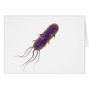 Cartão Imagem Conceitual Da Bactéria Flagelada 2