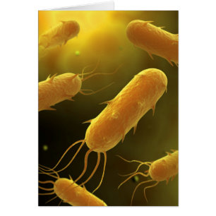 Cartão Imagem Conceitual Da Bactéria Flagelada 3