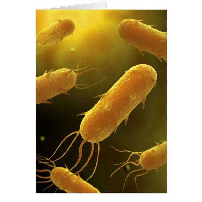 Cartão Imagem Conceitual Da Bactéria Flagelada 3 (Frente)