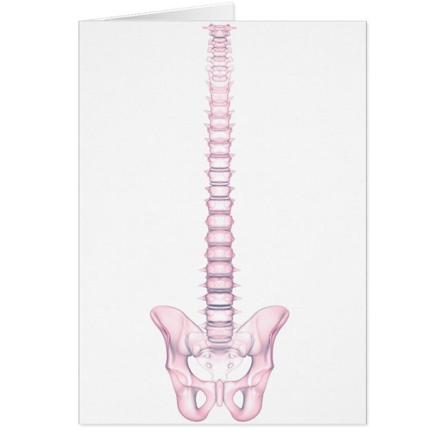 Cartão Imagem Conceitual Da espinha dorsal Humana 2 (Frente)