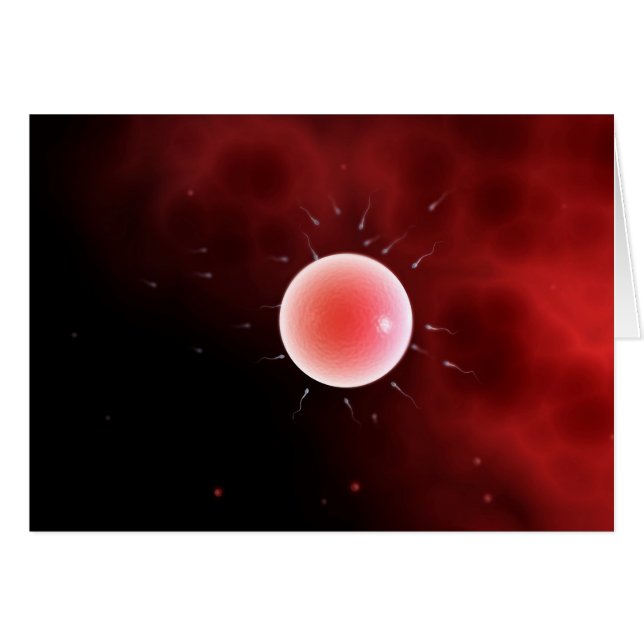 Cartão Imagem Conceitual Da Fertilização Comum (Frente Horizontal)