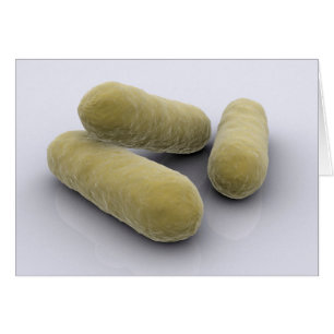 Cartão Imagem Conceitual Das Bactérias 2