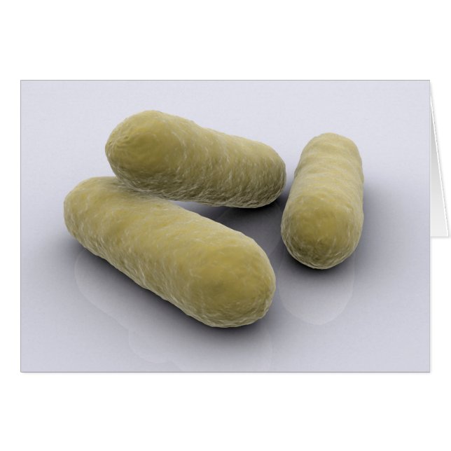 Cartão Imagem Conceitual Das Bactérias 2 (Frente Horizontal)