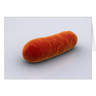 Cartão Imagem Conceitual Das Bactérias 4