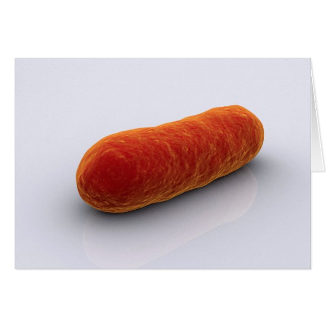 Cartão Imagem Conceitual Das Bactérias 4 (Frente Horizontal)