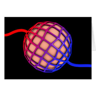 Cartão Imagem Conceitual De Alveolus