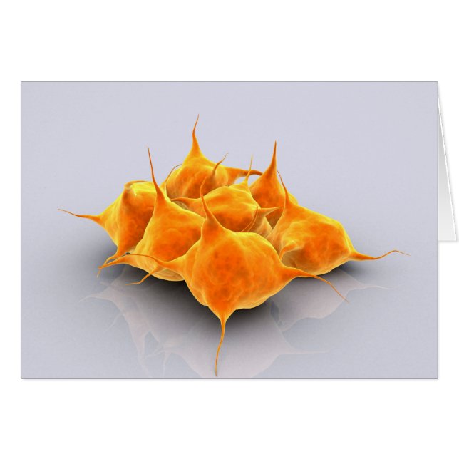 Cartão Imagem Conceitual De Um Grupo De Plaquetas (Frente Horizontal)