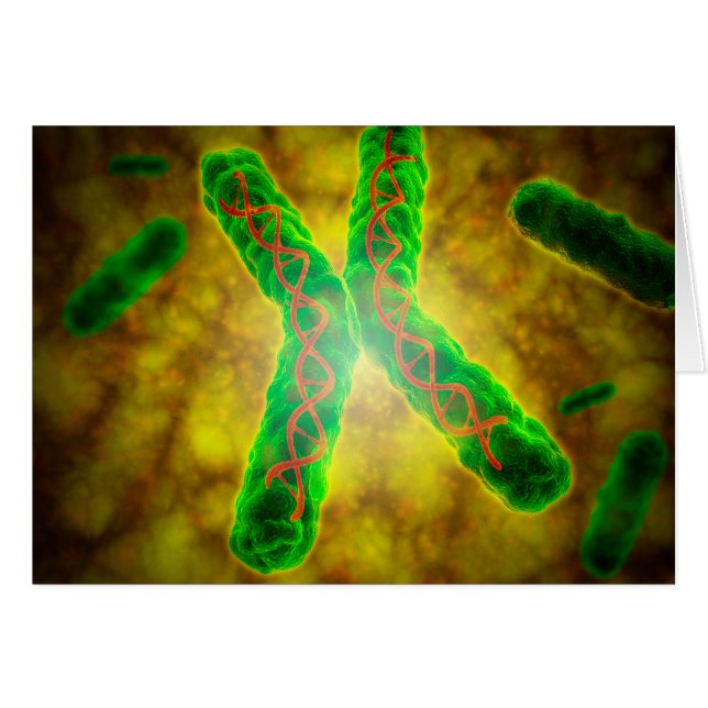 Cartão Imagem Conceitual De Um Telômero (Frente Horizontal)