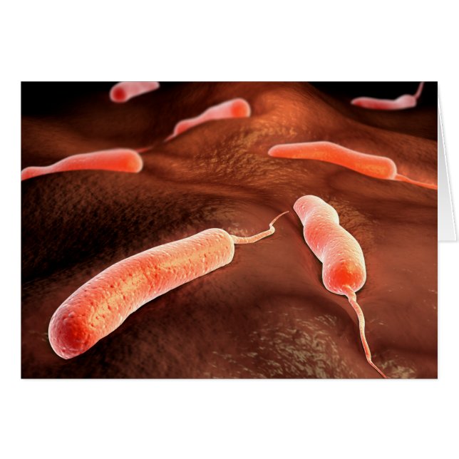 Cartão Imagem Conceitual De Vibrio Cholerae 1 (Frente Horizontal)