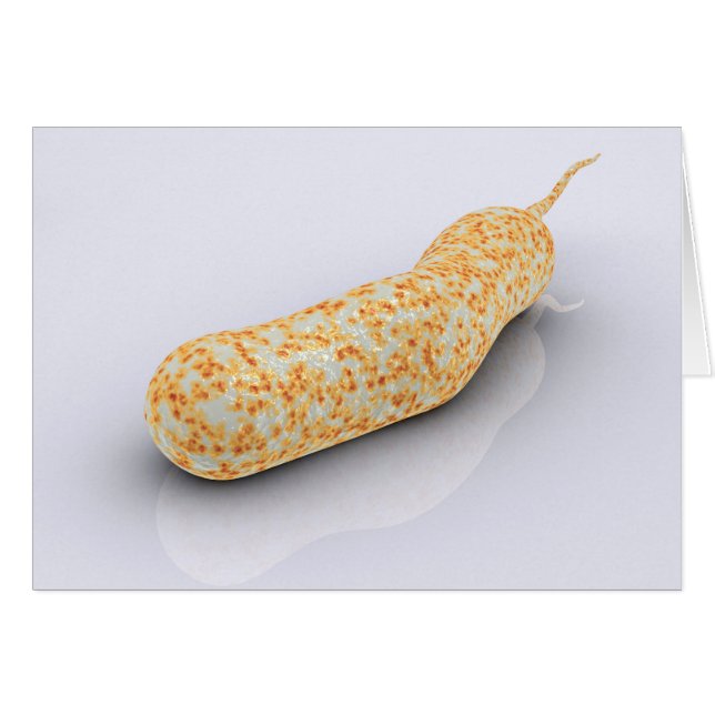 Cartão Imagem Conceitual De Vibrio Cholerae 3 (Frente Horizontal)