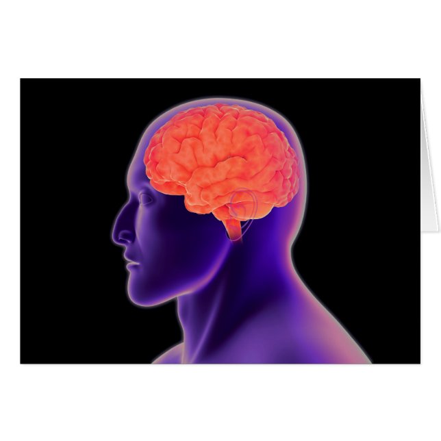 Cartão Imagem Conceitual Do Cérebro Humano 1 (Frente Horizontal)