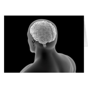 Cartão Imagem Conceitual Do Cérebro Humano 2