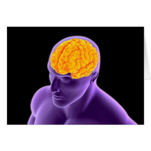 Cartão Imagem Conceitual Do Cérebro Humano 8