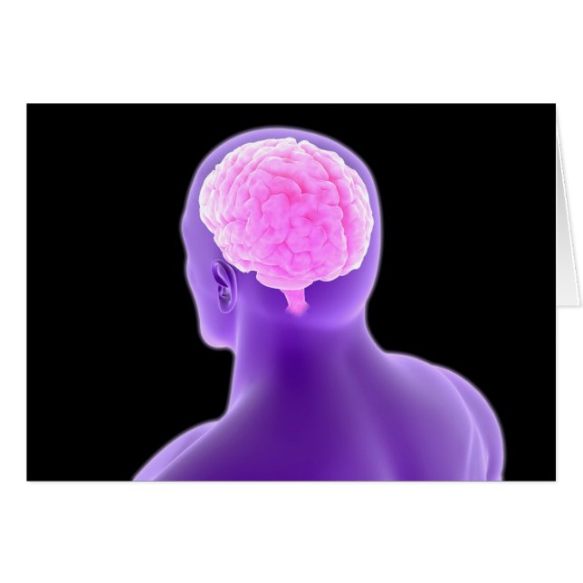 Cartão Imagem Conceitual Do Cérebro Humano 9 (Frente Horizontal)