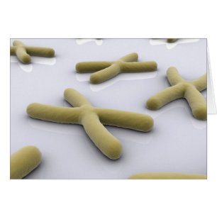 Cartão Imagem Conceitual Do Cromossoma 1