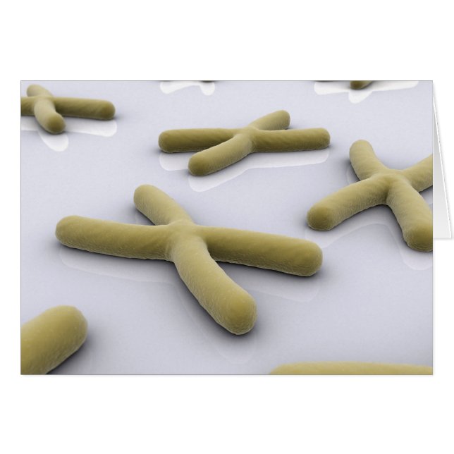 Cartão Imagem Conceitual Do Cromossoma 1 (Frente Horizontal)