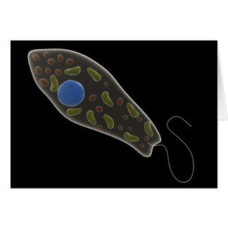 Cartão Imagem Conceitual Do Euglena 1