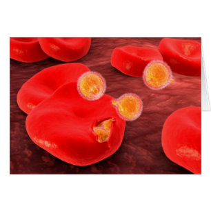 Cartão Imagem Conceitual Do Paramécio 2