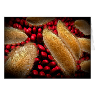 Cartão Imagem Conceitual Do Paramecium 1