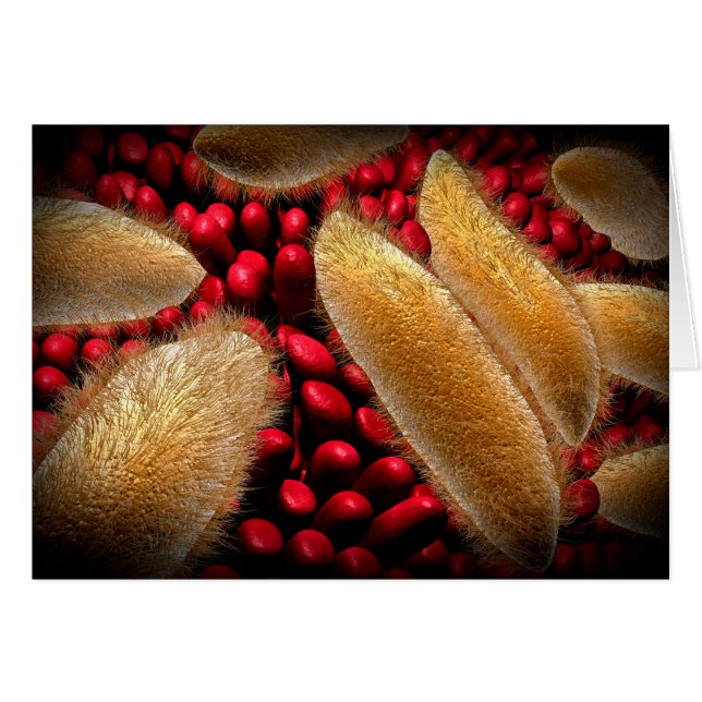 Cartão Imagem Conceitual Do Paramecium 1 (Frente Horizontal)