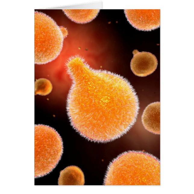 Cartão Imagem Conceitual Do Plasmodium Causando Malária 3 (Frente)