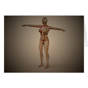 Cartão Imagem Conceitual Do Sistema Nervoso Humano 2