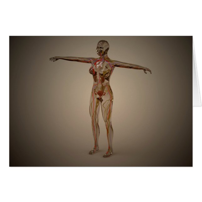 Cartão Imagem Conceitual Do Sistema Nervoso Humano 2 (Frente Horizontal)