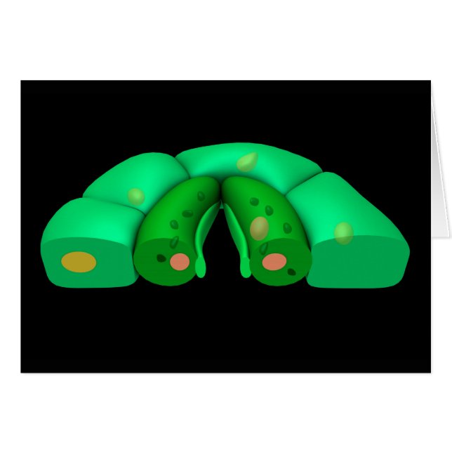 Cartão Imagem Conceitual Do Stomata 2 (Frente Horizontal)