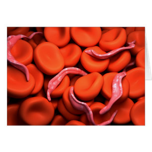 Cartão Imagem Conceitual Do Trypanosoma 3