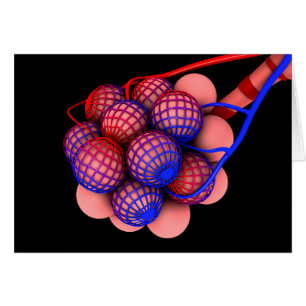 Cartão Imagem Conceitual Dos Alvéolos 1