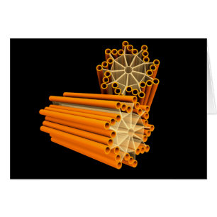 Cartão Imagem Conceitual Dos Centrioles 1