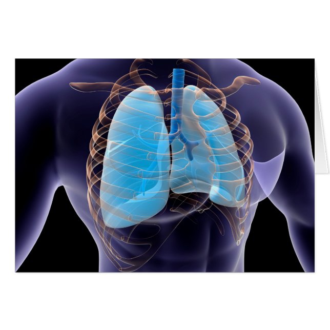 Cartão Imagem Conceitual Dos Pulmões Humanos E Da Gaiola  (Frente Horizontal)
