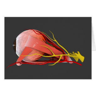 Cartão Imagem conceptual da anatomia 4 do olho humano