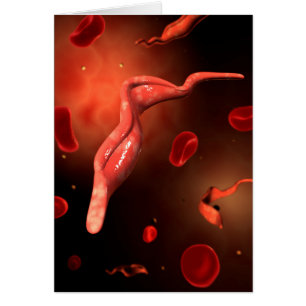 Cartão Imagem conceptual de Trypanosoma 1