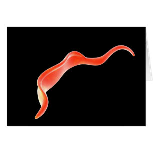 Cartão Imagem conceptual de Trypanosoma 2