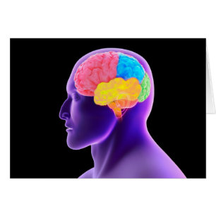 Cartão Imagem conceptual do cérebro humano 7
