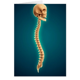 Cartão Imagem conceptual do crânio humano & da medula