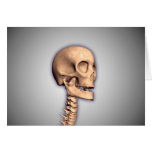 Cartão Imagem conceptual do crânio humano & da medula