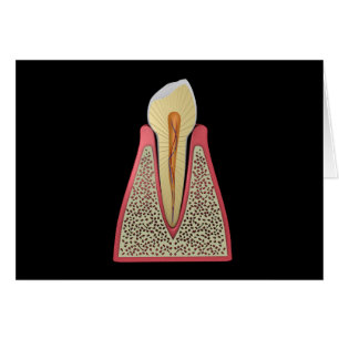 Cartão Imagem conceptual do dente humano 2