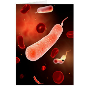 Cartão Imagem conceptual do Vibrio Cholerae 2