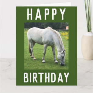 Cartão Imagem de Cavalo Branco no Aniversário